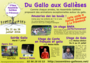 photos:annees:2016:plaf:flyer_gallo_verso.png