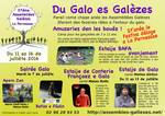 Le flyer galo 2016
