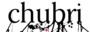 photos:site:logos:partenaires:chubri.png