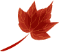wiki:cliparts:theme_feuilles:027.png