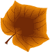wiki:cliparts:theme_feuilles:032.png
