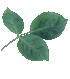 wiki:cliparts:theme_feuilles:044.png